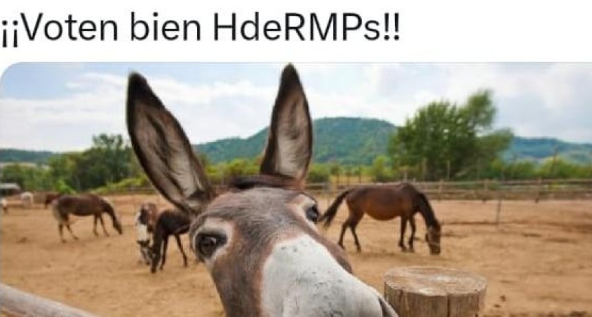 La imagen de Milei en ca&iacute;da libre: otra encuesta revela que el 69% de los argentinos lo rechaza