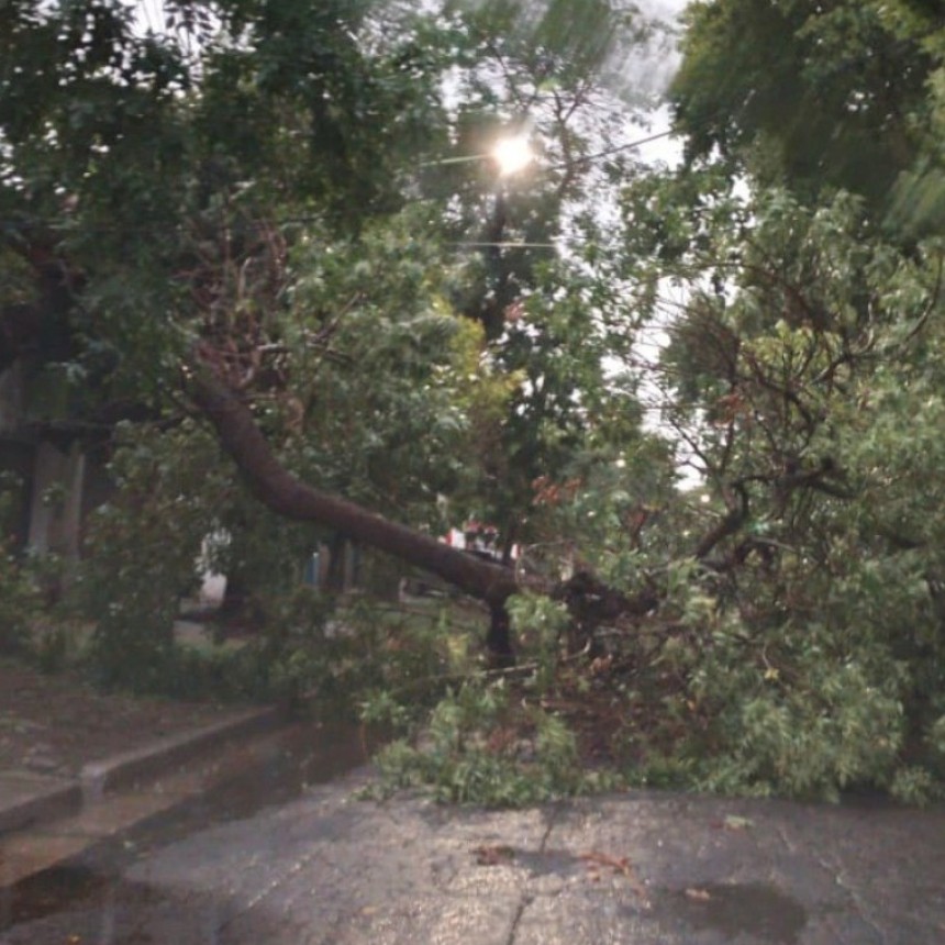 FUERTE TEMPORAL EN SALADILLO  