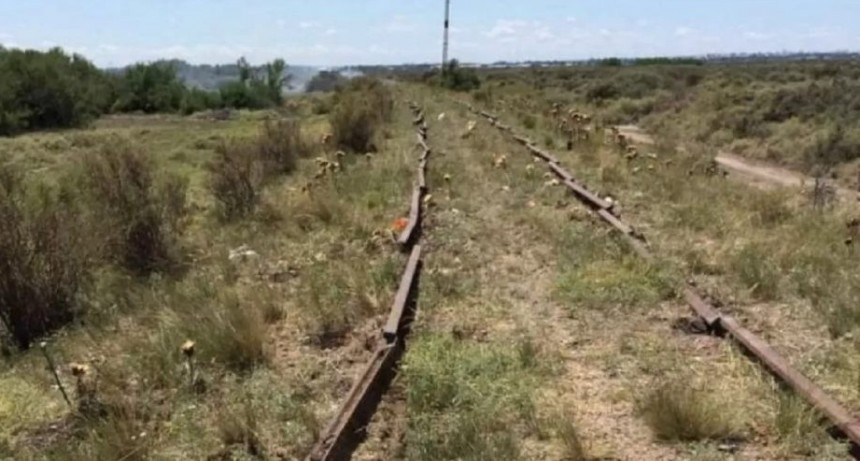 Se robaron 3.600 metros de rieles con 189 durmientes y dejaron sin servicio al Tren Patagónico