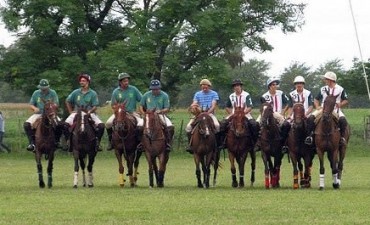 Finales de Novicios suspendidas