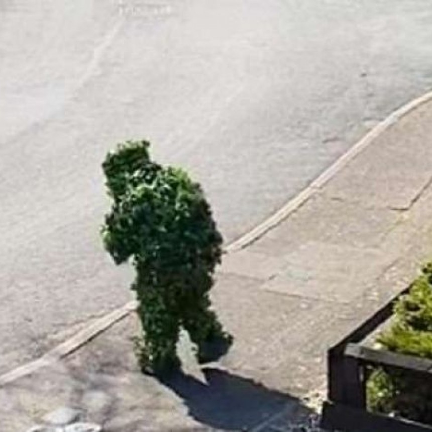 Agarraron infraganti al hombre planta en Inglaterra