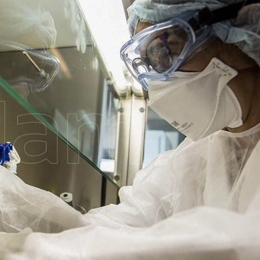 Gobierno de Israel anunci&oacute; que logr&oacute; desarrollar un anticuerpo que neutraliza al virus SARS-COV-2