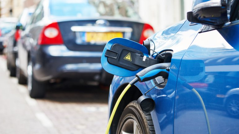 Cada jugador del Leicester campeón recibió un 