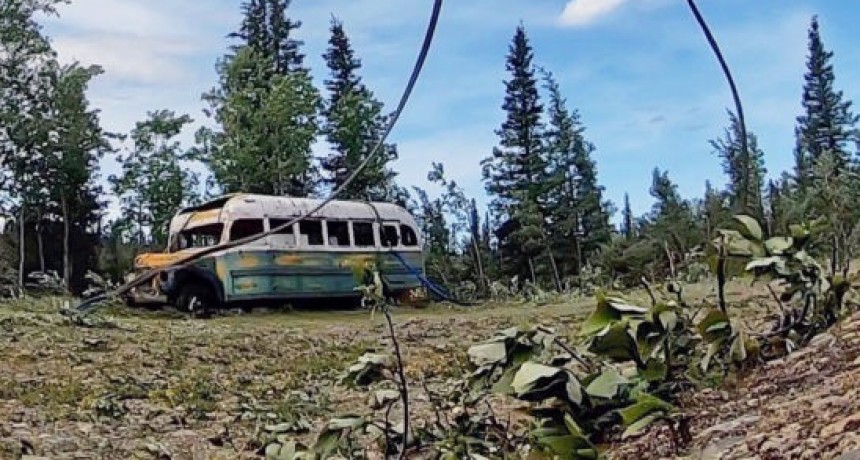 Alaska: retiraron el histórico micro de 