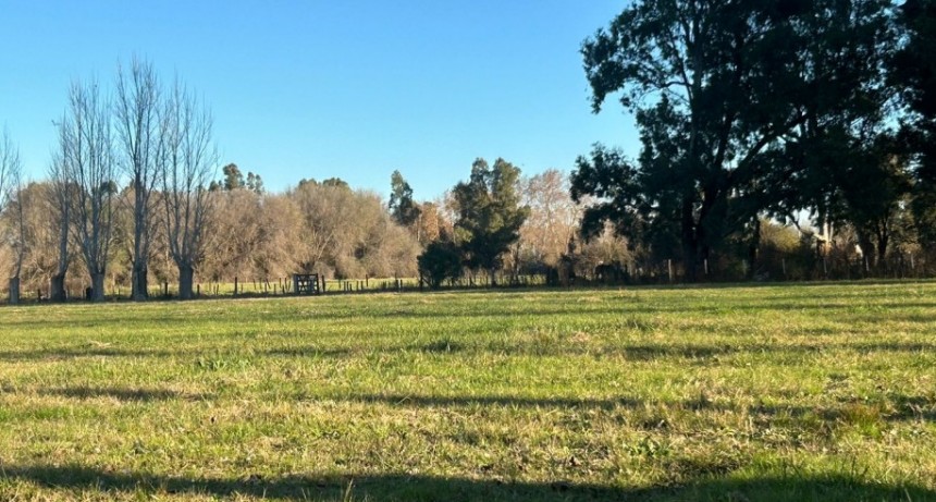 Fútbol: Club Cazón entrenará en el predio de La Totora
