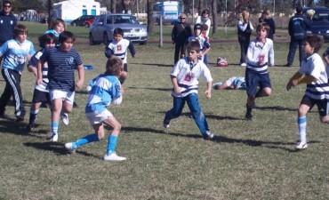 Se realizo Encuentro de Escuelitas de Rugby en Saladillo