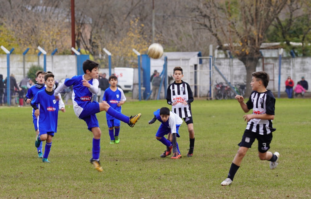 Programa de la fecha 15 del Torneo de Inferiores