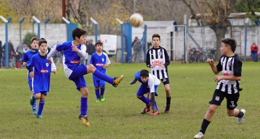 Programa de la fecha 15 del Torneo de Inferiores