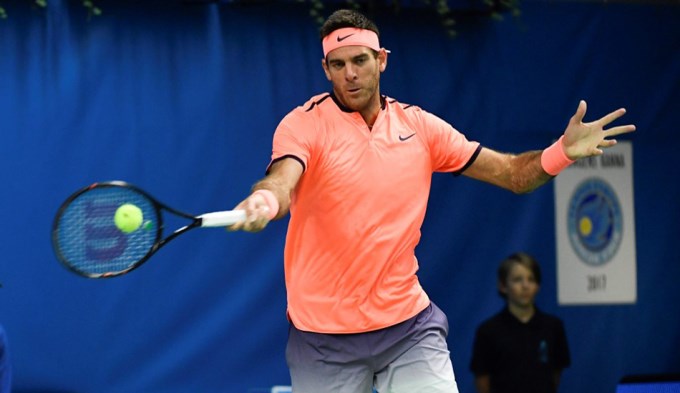 Del Potro gritó campeón en Estocolmo