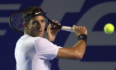 Del Potro venció a Cilic y accedió a la final del ATP 500 de Basilea