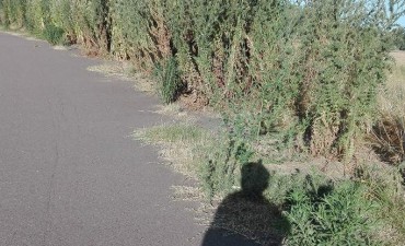 Lamentable estado del circuito Jorge “Abuelo” García